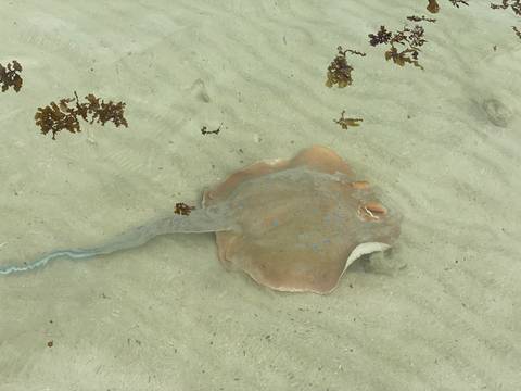      Photo d'avis client sur Circuit original de 7 jours de Perth à Exmouth Explorer et Ningaloo Reef 
  