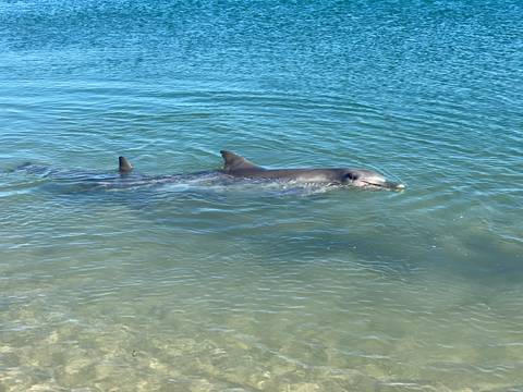       Photo d'avis client sur Circuit original de 7 jours de Perth à Exmouth Explorer et Ningaloo Reef 
  
