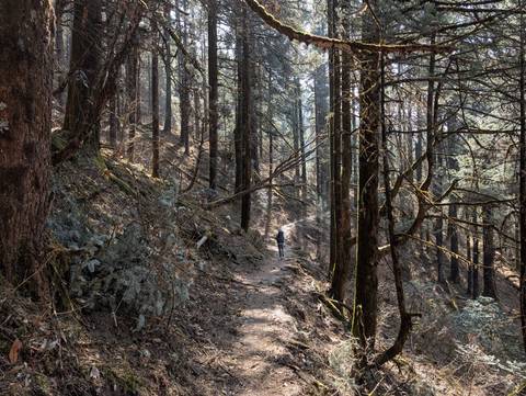       Klantbeoordelingsfoto van Langtang Vallei Trek - 10 dagen 
  