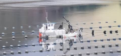       Small work boat moored among rows of floating buoys on a calm bay.
  