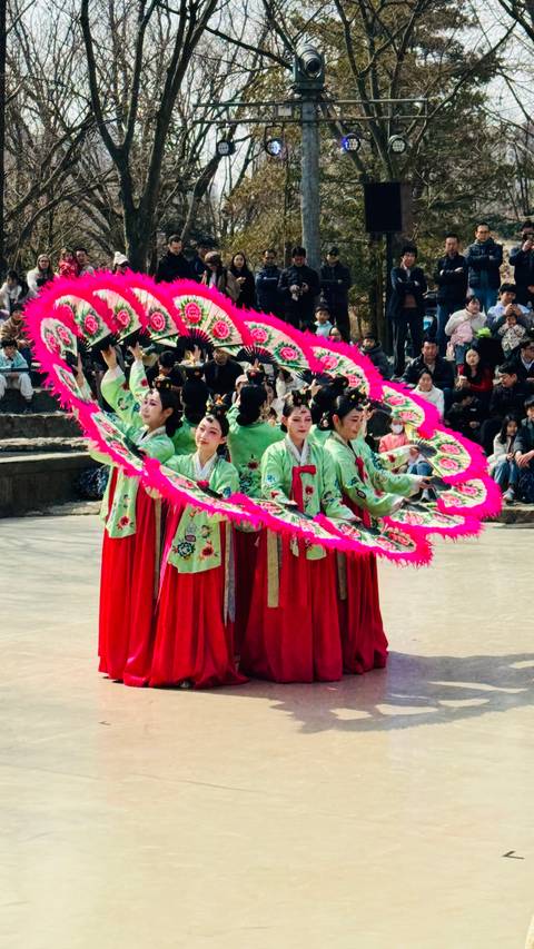       Ganz Südkorea - 8 Tage Foto von Kundenbewertung 
  