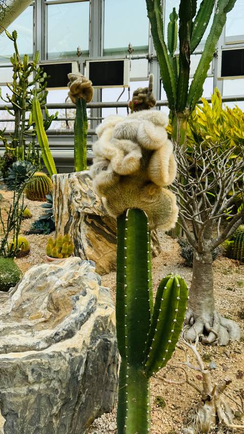       Ganz Südkorea - 8 Tage Foto von Kundenbewertung 
  