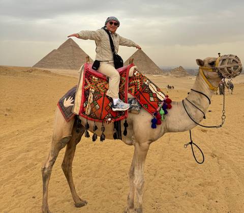       Traveler seated on a decorated camel pointing toward the pyramids on a sandy plateau in Giza
  