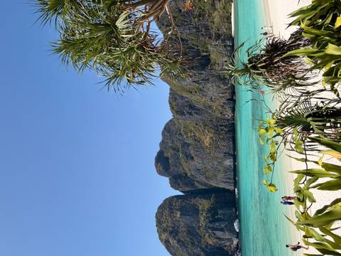       Tropical bay with turquoise water, sandy beach and lush vegetation framed by tall limestone walls.
  