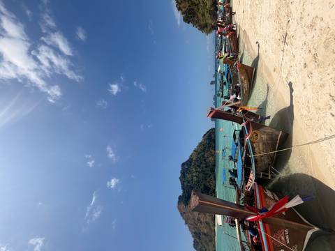       Row of brightly adorned long-tail boats moored on a sandy shore with green hills under a sunny sky.
  