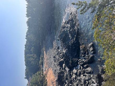       Klantbeoordelingsfoto van Avonturenreis door Zuid-Korea - van Seoul naar het eiland Jeju - 12 dagen 
  
