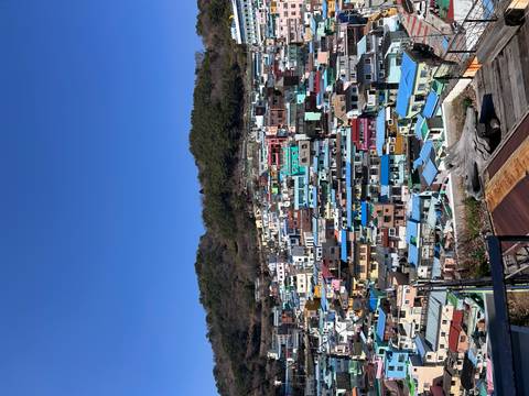       Klantbeoordelingsfoto van Avonturenreis door Zuid-Korea - van Seoul naar het eiland Jeju - 12 dagen 
  