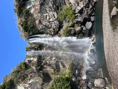       Klantbeoordelingsfoto van Avonturenreis door Zuid-Korea - van Seoul naar het eiland Jeju - 12 dagen 
  