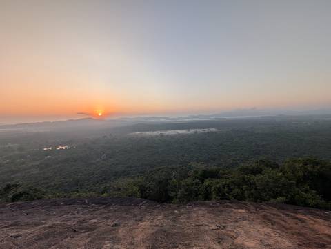       Broad vista of misty forest and rolling hills with the sun rising on the horizon
  