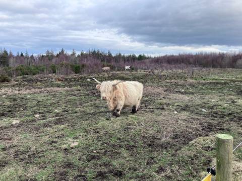       Klantbeoordelingsfoto van Isle of Skye, Loch Ness &amp; Inverness 
  