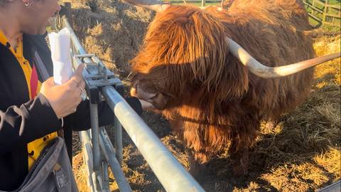       Klantbeoordelingsfoto van Isle of Skye, Loch Ness &amp; Inverness 
  