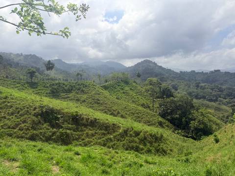      Klantbeoordelingsfoto van Colombia - trektocht naar de verloren stad 
  