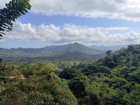       Klantbeoordelingsfoto van Colombia - trektocht naar de verloren stad 
  