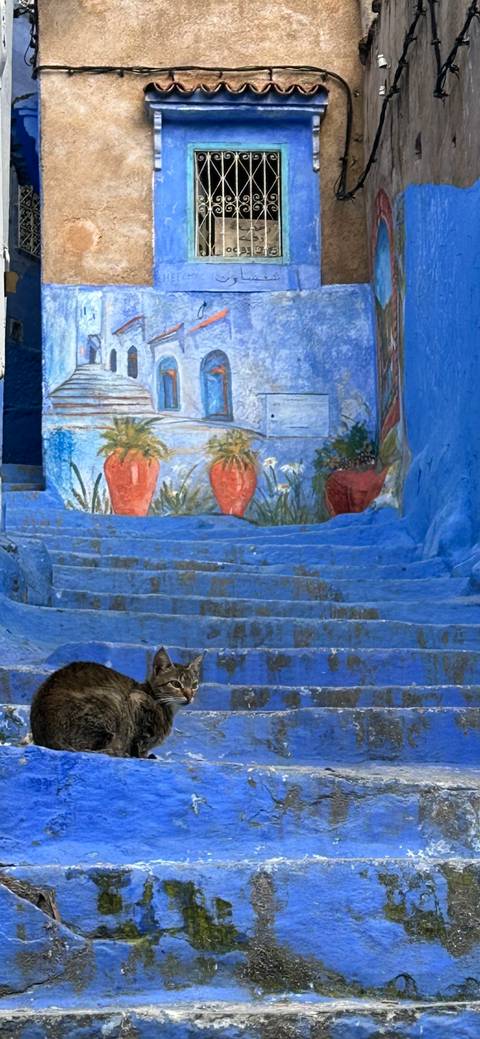       Blue-painted stone steps with painted flower pots and doorway in a narrow alley.
  