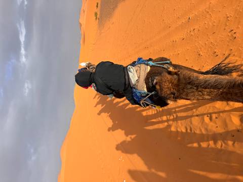       Traveler on camel rides through orange Sahara dunes with caravan casting long shadows.
  