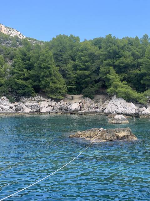       People swimming near a rocky shore with dense greenery.
  