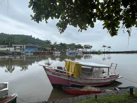       Small colorful fishing boats anchored on a calm reflective inlet in Paraty’s historic port.
  