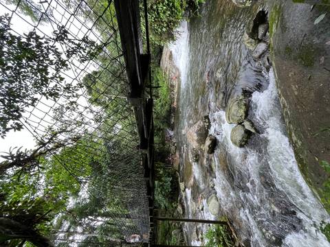       Suspension footbridge over a fast-flowing jungle stream where swimmers relax on rocks.
  