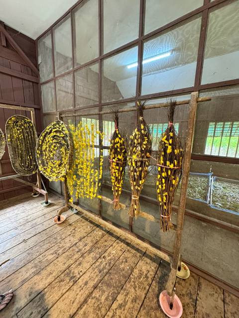       Bundles and coils of yellow silk cocoons displayed inside a wooden workshop.
  