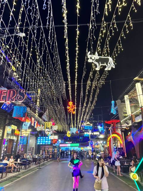       Vibrant night street scene with hanging string lights and neon animal signs.
  