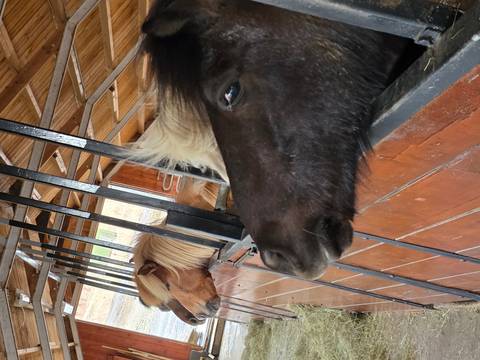       Klantbeoordelingsfoto van Snæfellsnes &amp; de Zuidkust – 5 dagen 
  