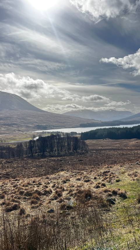       Rolling Highlands landscape with a shimmering loch, patchwork forests and low cloud-covered peaks.
  