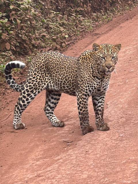       Photo d'avis client sur Expédition essentielle de 15 jours au Kenya et en Tanzanie 
  