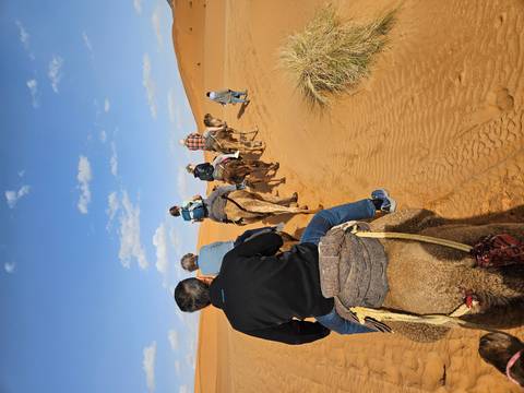       Line of travelers riding camels across orange dunes under a blue sky.
  