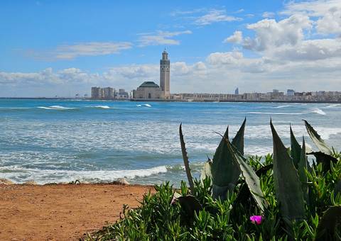       Coastal view of Casablanca skyline with Hassan II Mosque rising above waves and agave plants in foreground.
  