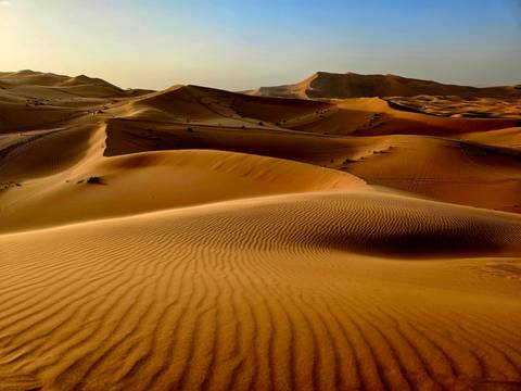       Sweeping golden sand dunes of the Sahara with rippled patterns under low sunlight.
  