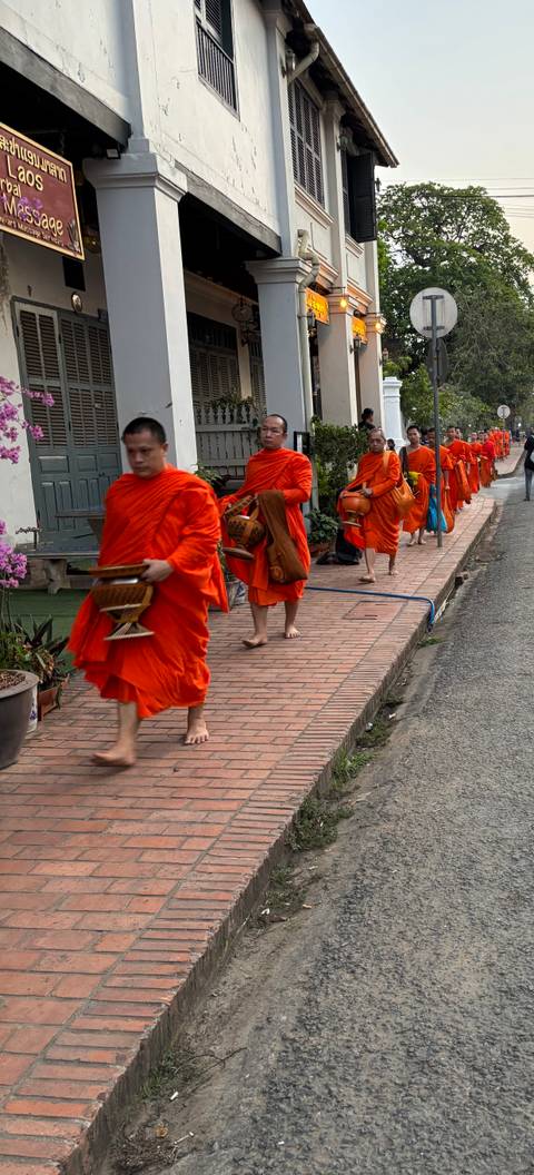       Dawn alms procession of barefoot Buddhist monks in vivid orange robes.
  