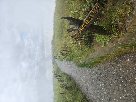       A misty footpath leads toward a roaring waterfall, marked by a wooden sign reading 'Horseshoe Falls'.
  