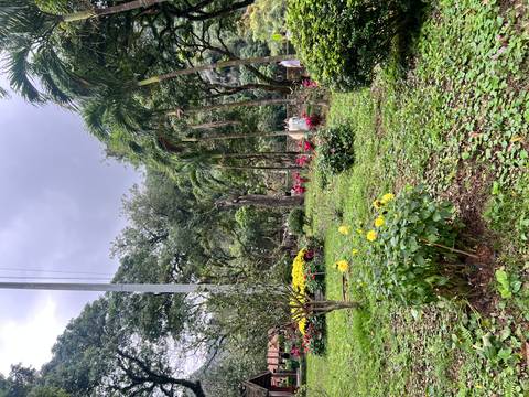       Klantbeoordelingsfoto van Het beste van Vietnam - 14 dagen 
  