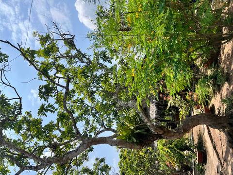       Klantbeoordelingsfoto van Het beste van Vietnam - 14 dagen 
  