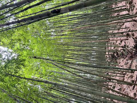       Klantbeoordelingsfoto van Het beste van Vietnam - 14 dagen 
  