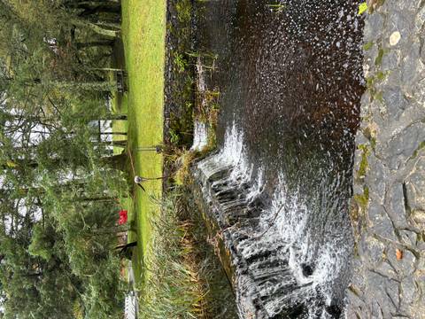       Small waterfall spilling over a stone ledge into a park pond surrounded by lush trees and grassy lawn
  