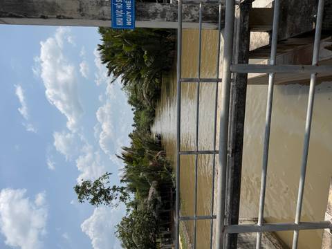       Narrow waterway lined with nipa palms viewed from a simple metal bridge in the Mekong Delta under a bright sky
  