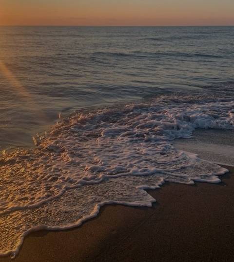       Photo d'avis client sur Explorez le parc national d'Etosha - 3 jours - Lodge privé avec guide 
  
