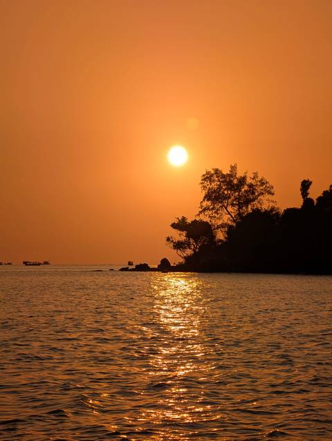       Brilliant orange sunset over calm sea waters with tree silhouettes and fishing boats.
  