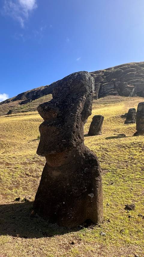       Close-up of a solitary weathered moai statue on a grassy hillside.
  