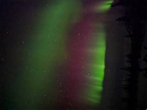       Vivid green and purple northern lights streak across a starry Arctic sky.
  