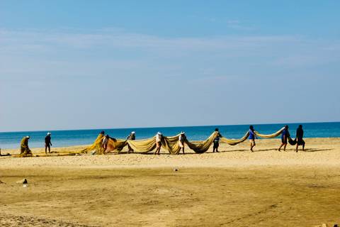       Line of fishermen pull an extended net across a wide sandy beach against a blue horizon.
  