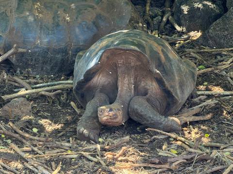       Klantbeoordelingsfoto van Galapagos – een express-avontuur – 7 dagen 
  