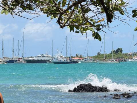       Klantbeoordelingsfoto van Galapagos – een express-avontuur – 7 dagen 
  
