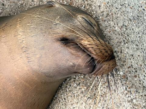       Klantbeoordelingsfoto van Galapagos – een express-avontuur – 7 dagen 
  