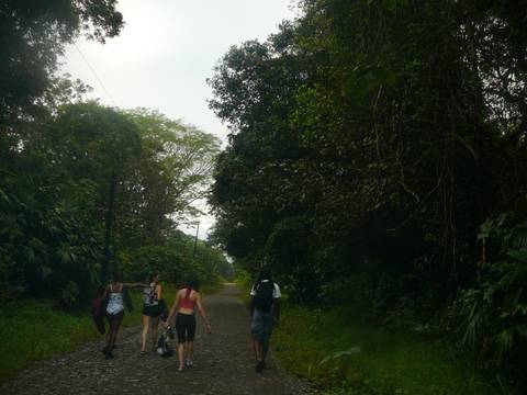       Small group of hikers walking along lush jungle path under overcast sky.
  