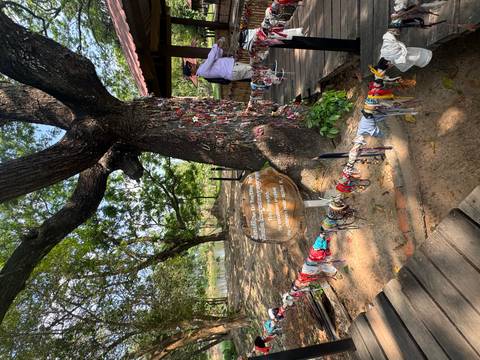       Memorial tree wrapped with friendship bracelets beside sign at Cambodia’s Killing Fields.
  