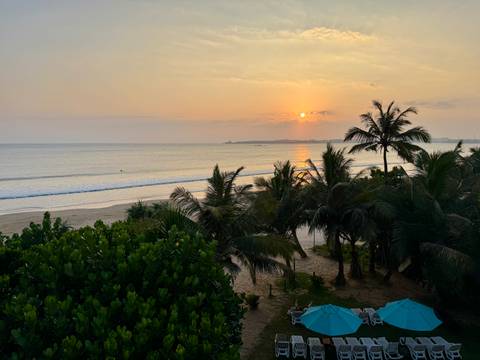       Soft sunrise over a calm tropical beach with palm trees and gentle waves reflecting the orange sky.
  
