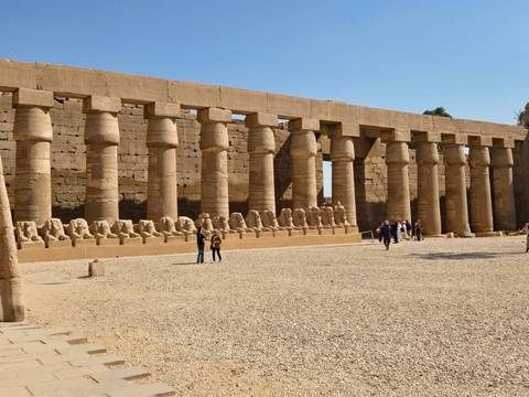       Row of ram-headed sphinx statues and tall stone columns inside Luxor Temple complex
  