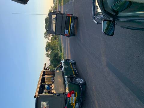       Open safari vehicles driving along a paved road through green bushveld at dawn
  